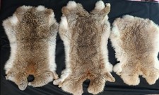 Lot de 3 peaux de lapin