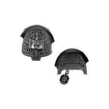 GKTE25 EPAULIERE x2 TERMINATOR