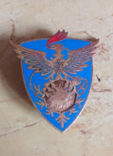 Insigne entrepôt armée - entrepôt, l'armée