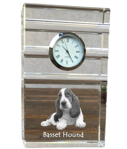 Basset hound glasuhr - glasuhr, photo