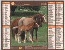 2009 - CALENDRIER DES POSTES - ALMANACH MEURTHE-et-MOSELLE 54 - CHEVAL - CHIEN