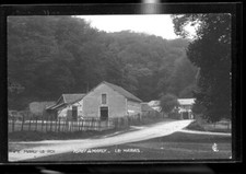 FORET DE MARLY LE HARAS CP