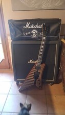 Gibson Zakk Wylde Moderne of Doom 2010s - Striped -signed 2014