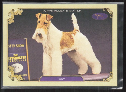 2024 topps allen - topps, &