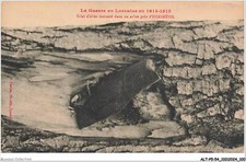 ALTP5-0451-54 - Eclat d'obus incruste dans un arbre pres d'HERIMENIL