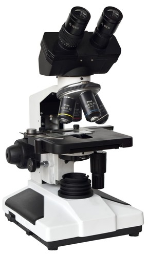 Microscope binoculaire