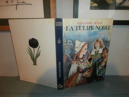Tulipe noire par alexandre - par,