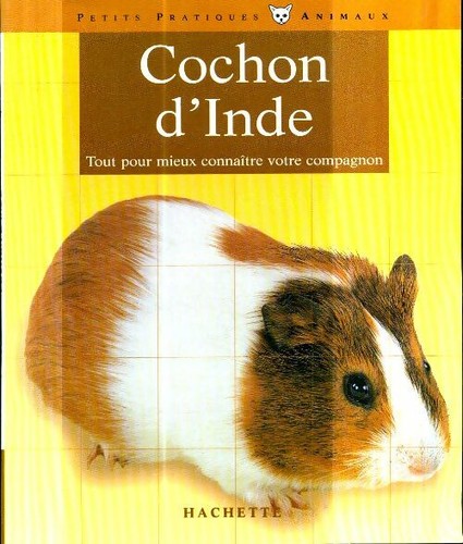 Cochon inde katrin behrend - cochon,