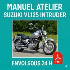 Manuel Atelier Suzuki VL125