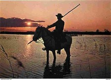 Animaux - Chevaux - Camargue -