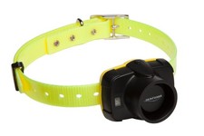 Collier de repérage beeper