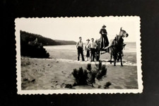 PHOTO ANCIENNE -  promenade en famille et en charette au bord du lac