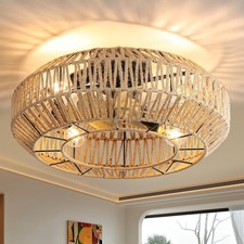 Style traditionnel or 55cm sans lames de cage 6 vitesses moteur DC réversible