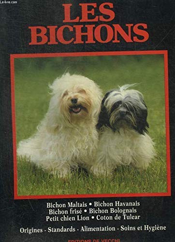 Les bichons bichon maltais - bichon,
