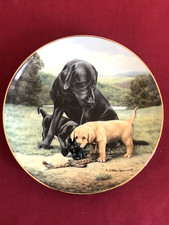 ASSIETTE DE COLLECTION