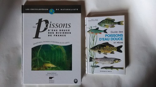 Lot poissons eau douce - lot,