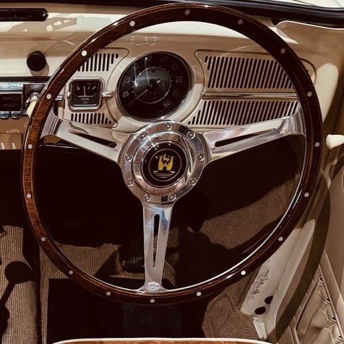 Volant direction beetle - volant,
