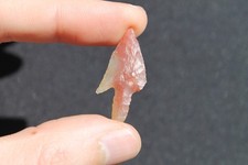 Préhistoire Néolithique