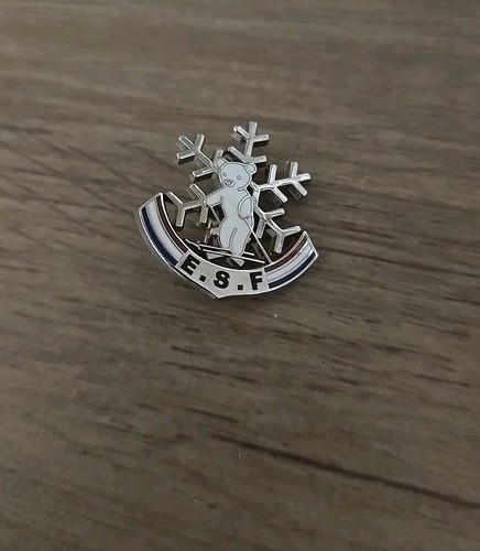 Broche ecole ski - ski, francais