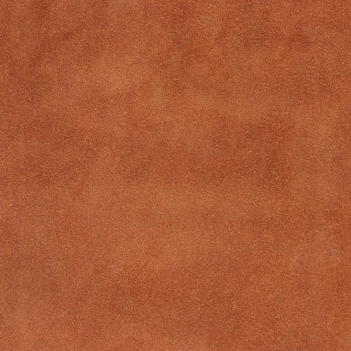 Morceau croûte cuir de - de,