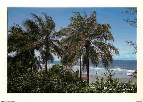 Postcard senegal - postcard,