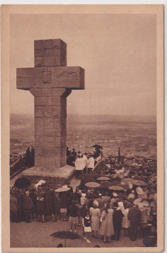 Carte postale postcard - 🦬carte,