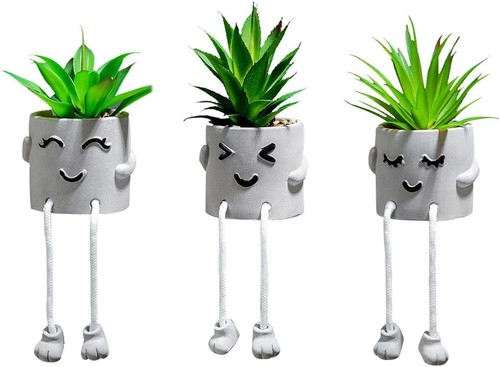 Lot plantes succulentes - lot, de