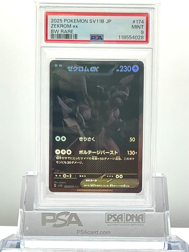 2025 pokemon japanese - pokemon,