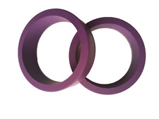 FLIPPER- 2 ELASTIQUES STANDARD MAUVE - PREMIUM EN POLYURETHANE