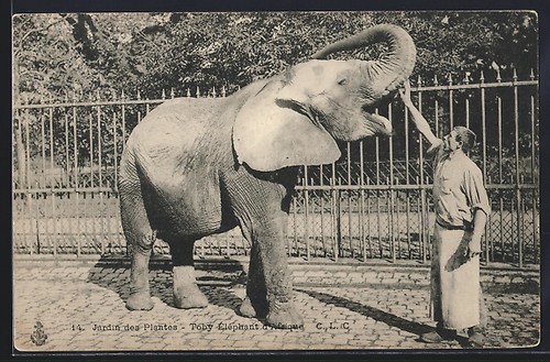 Carte postale jardin - postale, des