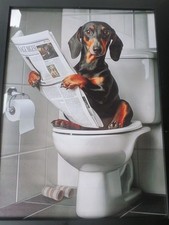 TABLEAU  TOILE  IMPRIME-chien-Teckel-Impression-Affiche décorative-CADRE