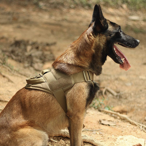 New tactical dog - new, vest