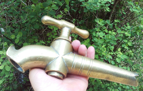 Cannelle bronze gardon - en,