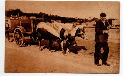 Pays basque agriculture - au,