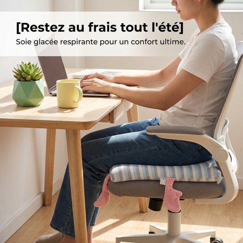 Coussin siège mousse à - coussin, de