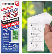 50 Pack Window Fly Traps