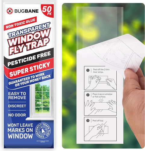 Pack window fly traps - 50,