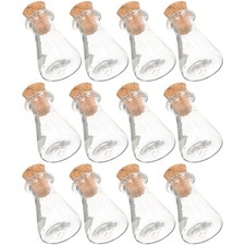 12 Pcs Mini Bouteille Verre