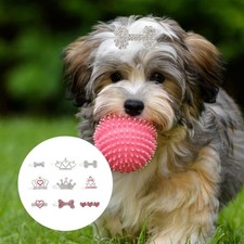  9 Pcs Poil Chien Accessoires De Mode Pour Animaux Compagnie Poils