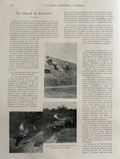 1898 LE CHEVAL DE CAVALERIE - LE SPORT UNIVERSEL ILLUSTREE