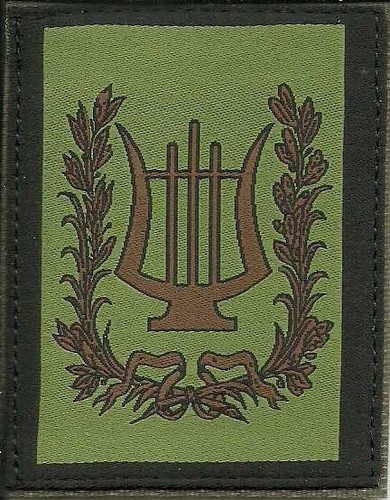 Insigne tissu patch militaire - insigne, tissu,