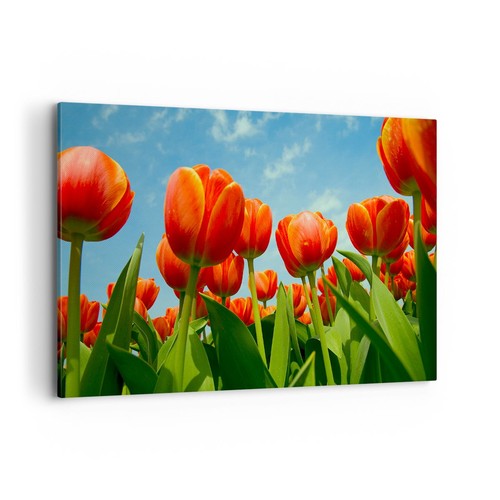 Impression sur toile 120x80cm - toile,