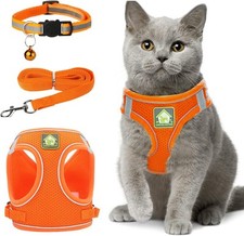 Harnais pour Chats avec Laisse et Collier Anti-Fuite, réfléchissant, réglable, H