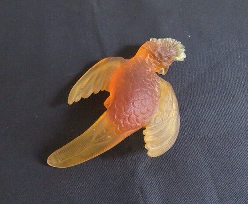 Perruche oiseau pâte - perruche,