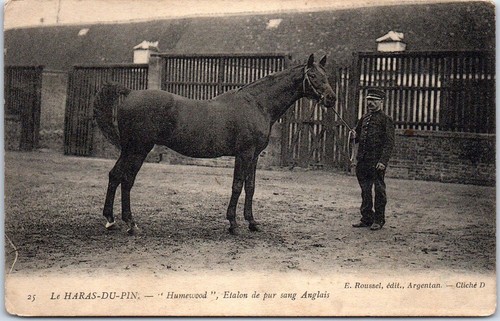 Haras pin humewood - 61, du