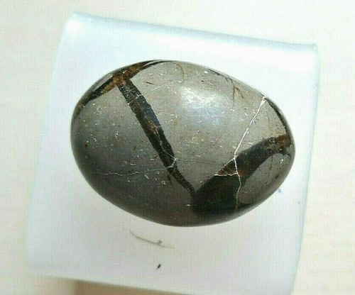 Galet septarian septaria - galet, septarian/