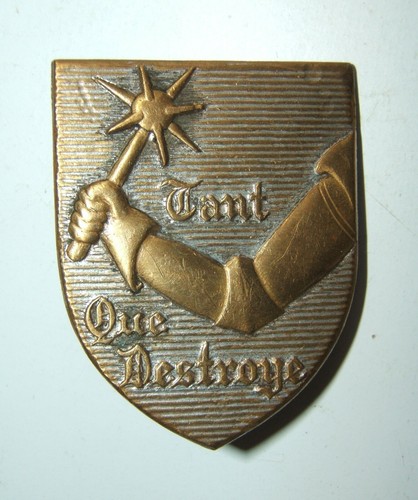 Insigne regiment de - insigne, 9°