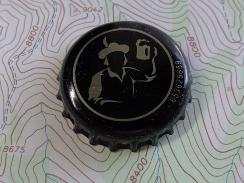 Bière bouteille couronne - bière,