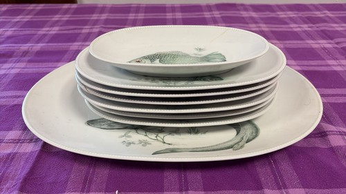 Splendide service vaisselle - splendide,
