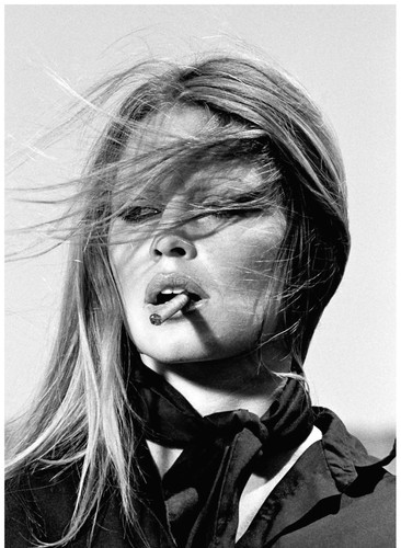 Brigitte bardot photo 18x24 - bb,